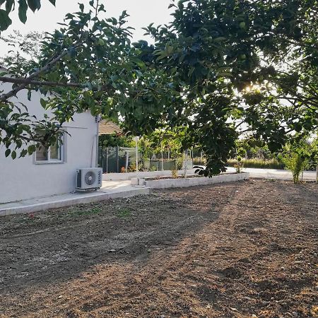 Alibaba Villa Near Airport And Beach Dalaman Dış mekan fotoğraf