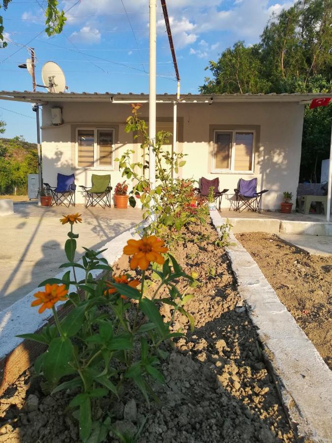 Alibaba Villa Near Airport And Beach Dalaman Dış mekan fotoğraf