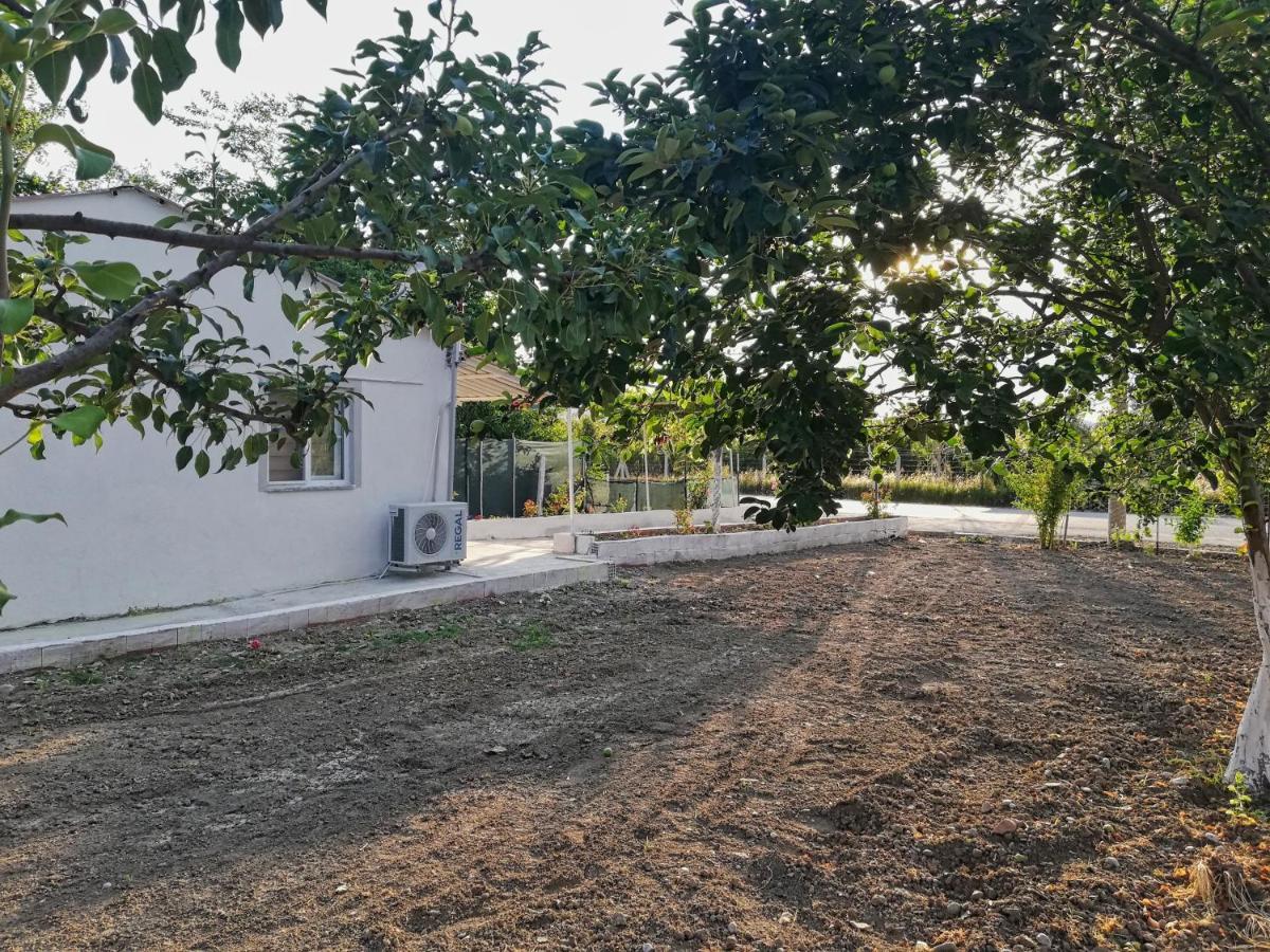 Alibaba Villa Near Airport And Beach Dalaman Dış mekan fotoğraf