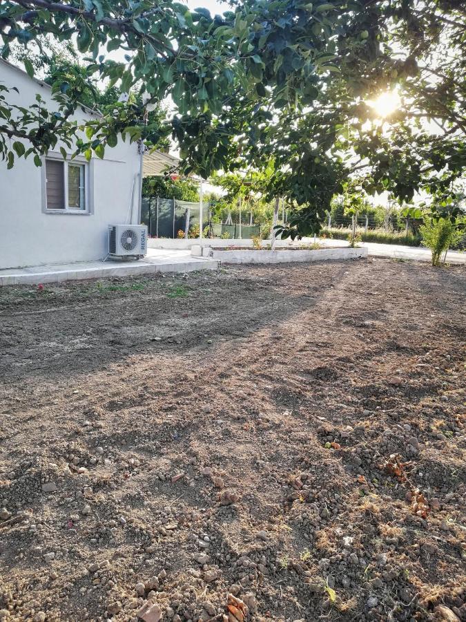 Alibaba Villa Near Airport And Beach Dalaman Dış mekan fotoğraf