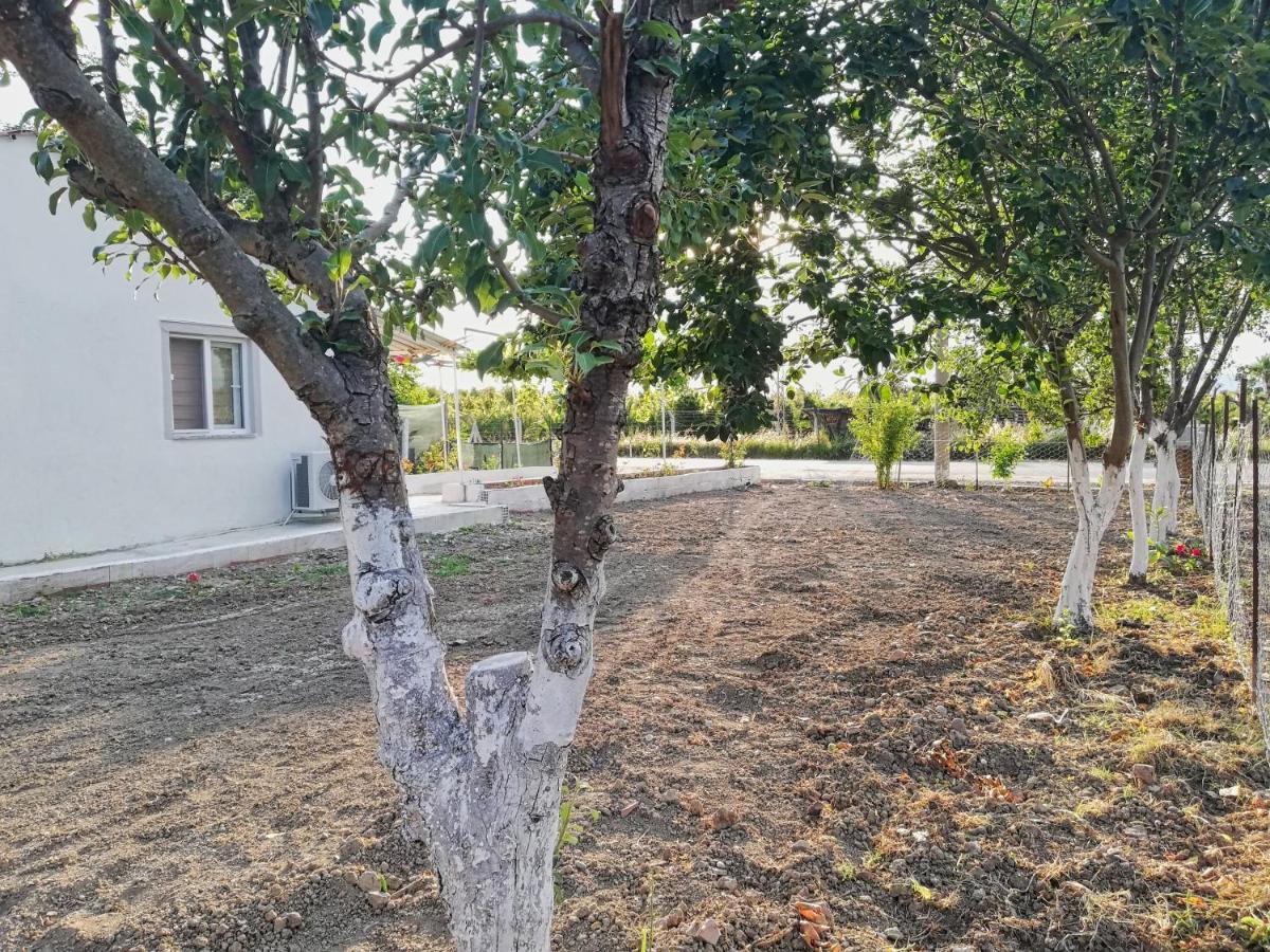 Alibaba Villa Near Airport And Beach Dalaman Dış mekan fotoğraf
